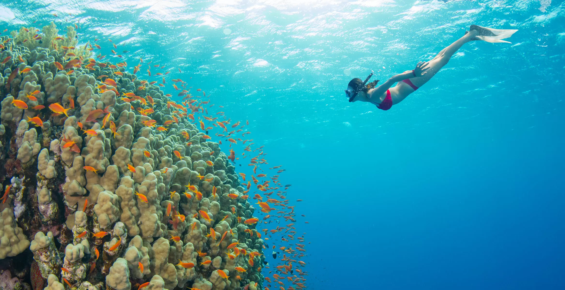 Snorkeling