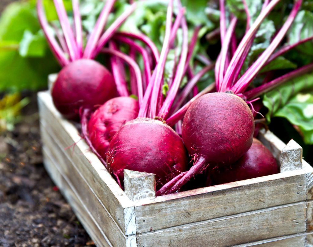 Beetroot 