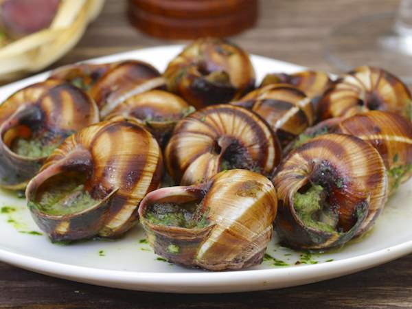 Snails contain rich protein